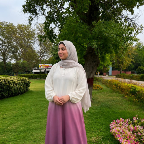 Noor-e-Mauve